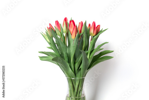 Bouquet of tulips on a white background.