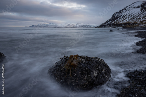 Long exposure in Iceland on a black beach with a stone and seaweed in the foreground and the mountains in the background.
