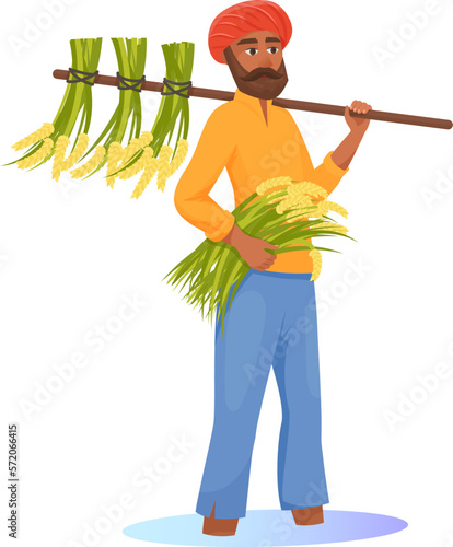 Indian man harvesting rice. Traditional asian agriculture