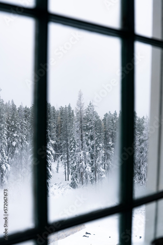 Snowy Trees Looking Out The Window of Winter Cabin