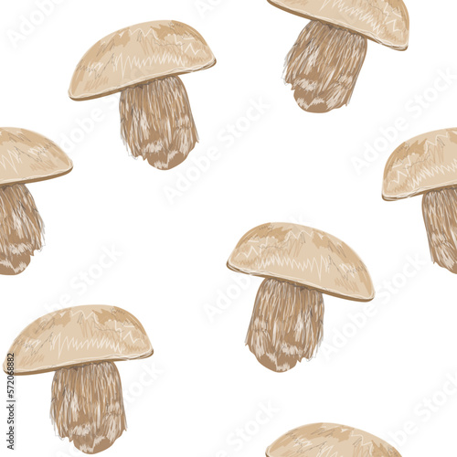 mushrooms (boletus) isolated on white background. seamless pattern for textille oder background