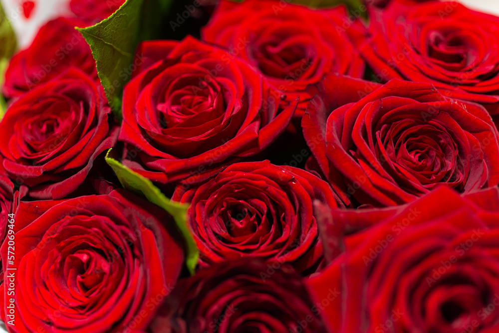 bouquet of red roses bouquet of red roses