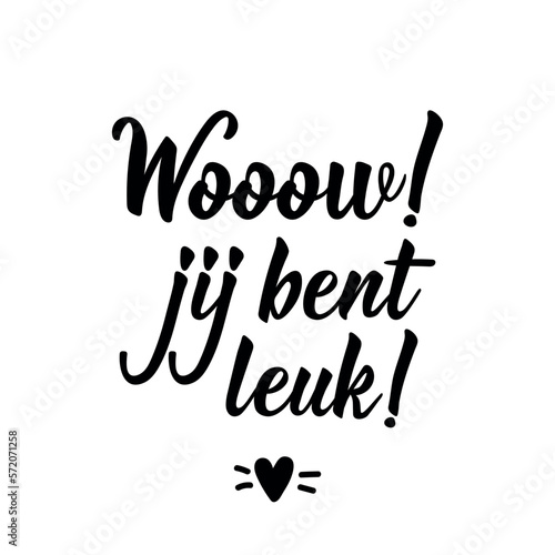 Dutch text: Wooow you are cute. Lettering. vector. element for flyers, banner and posters Modern calligraphy. Wow, joj bent leuk.