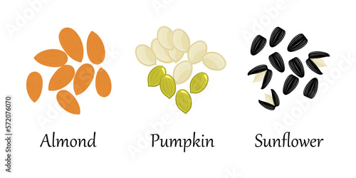 Nuts vector set. Nuts collection Almond, pumpkin and sunflower seeds isolated on white background. flat style vector illustration 