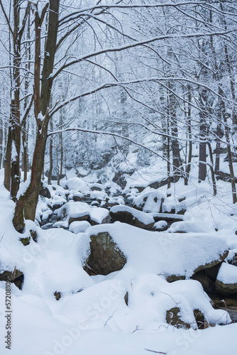 stream in the middle of a snowy mountain forest © ptyszku