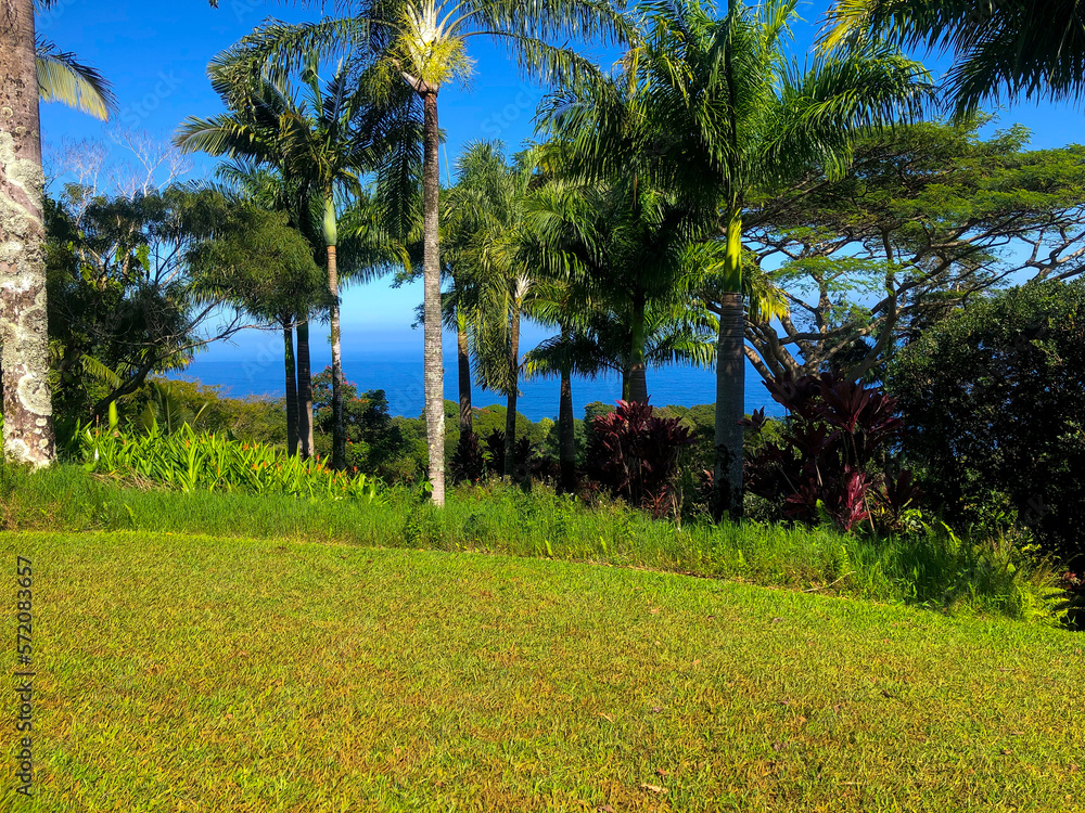 Fototapeta premium Hawaii