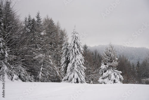 Zima w górach, Zima, Zimowy las, Góry zimą, Polskie Góry 