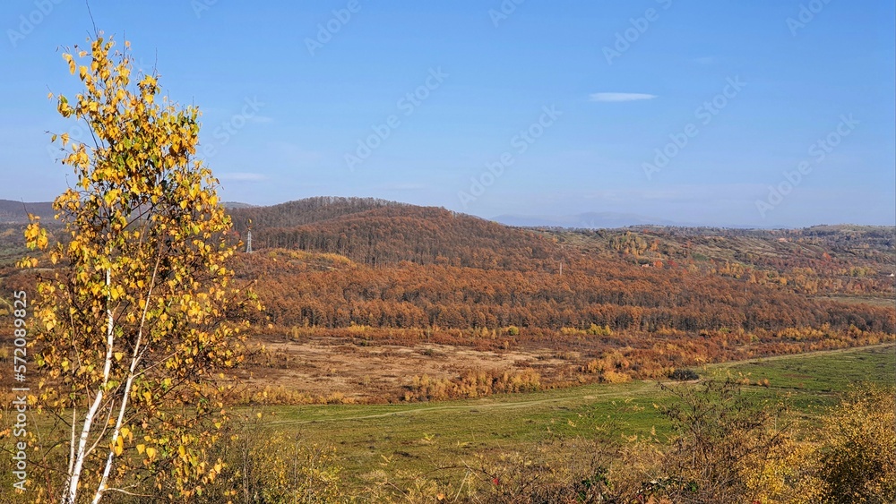 autumn forest in mountains under blue sky