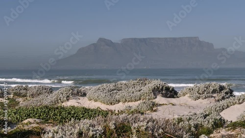 Hearty low shrubs grow on sandy Cape town beach, Table Mountain beyond photo