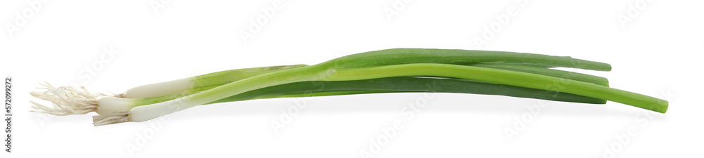 Fresh green spring onions on white background Fresh green spring onions on white background