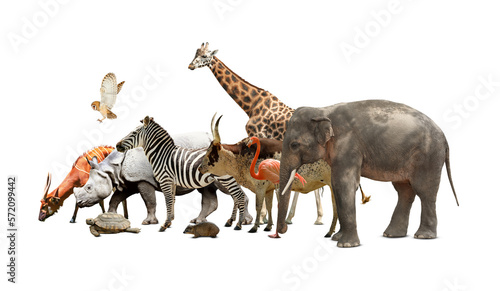 Fototapeta Naklejka Na Ścianę i Meble -  Group of different wild animals on white background, collage
