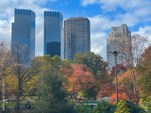 New York City, United States. 5th November, 2022. Fall Season hits New York City, colorful leaves are seen throughout Central Park. Credit: Ryan Rahman/Alamy Live News © Ryan Rahman