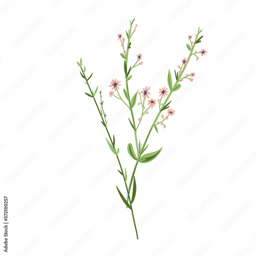 Fototapeta premium Field Flowers on Branch. Wildflower Icon. Hand Drawn