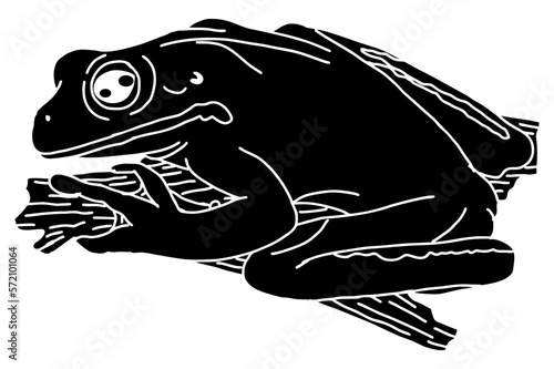 Silhouette of white-lipped tree frog