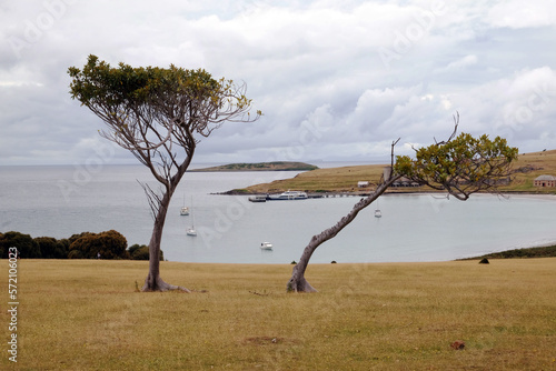 Maria Island Tasmania