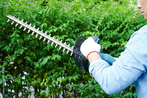 Gardener trimming bush by electric hedge clippers in garden. Hobby at home.