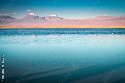 Obraz na płótnie Licancabur with reflection lake and volcanic landscape at Sunset, Atacama, Chile w salonie