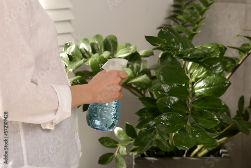 Woman spraying water onto houseplant at home, closeup photo