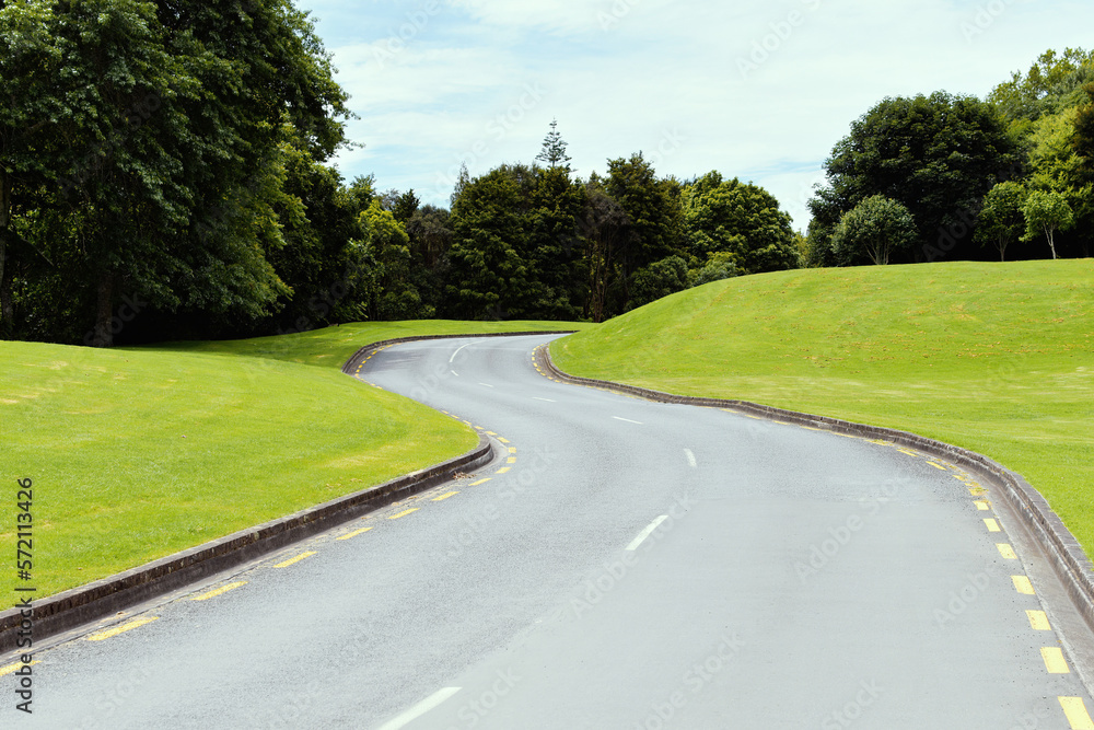 Naklejka premium asphalt road winding through green field