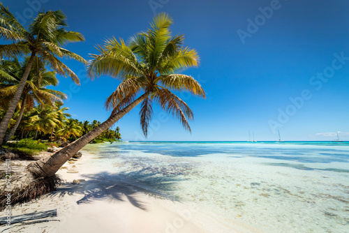 Boats and tropical beach in caribbean sea, Saona island, Dominican Republic © Aide