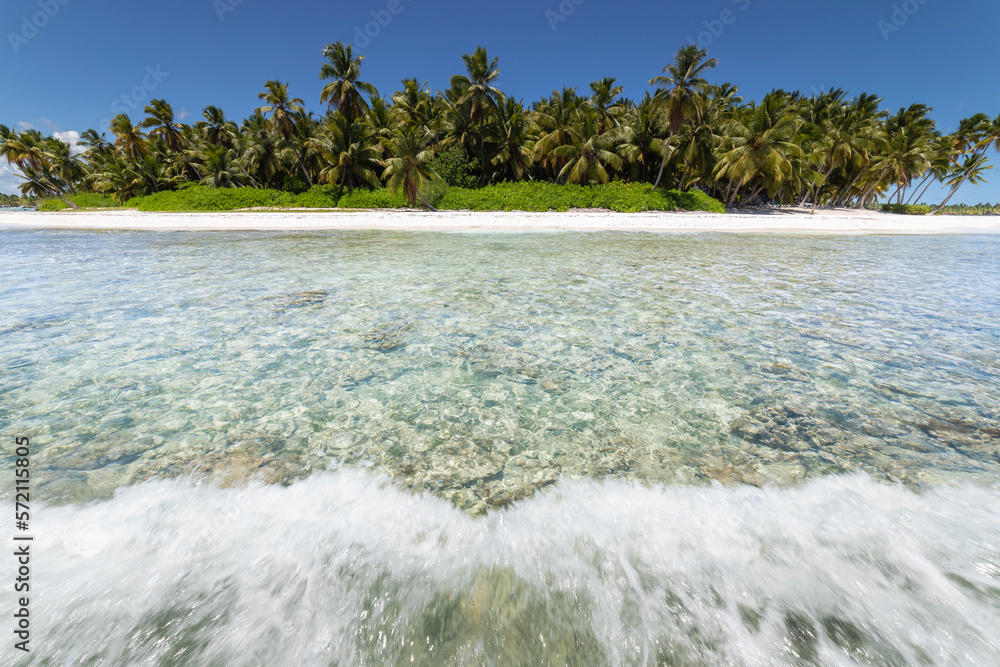 Tropical beach in caribbean sea, idyllic Saona island, Dominican Republic