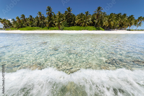 Obraz na płótnie Tropical beach in caribbean sea, idyllic Saona island, Dominican Republic w salonie