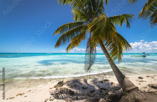 Fototapeta Naklejka Na Ścianę i Meble -  Boat and tropical beach in caribbean sea, Saona island, Dominican Republic