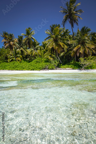 Tropical beach in caribbean sea, idyllic Saona island, Dominican Republic