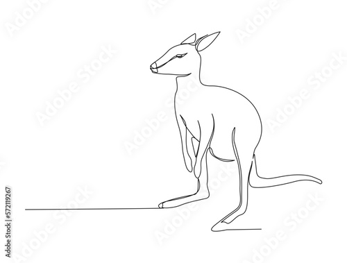 Continuous one line drawing of kangaroo . Simple illustration of standing kangaroo line art vector illustration
