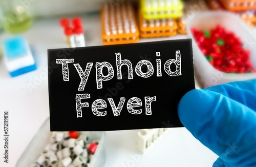 Doctor's hands in blue gloves shows the word typhoid fever. Medical concept. Sal photo