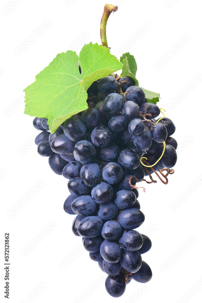 Bunch of grapes isolated on white Bunch of grapes isolated on white