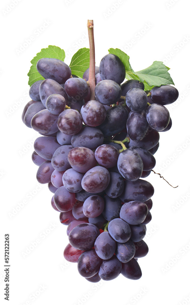 Fototapeta premium Bunch grape isolated 