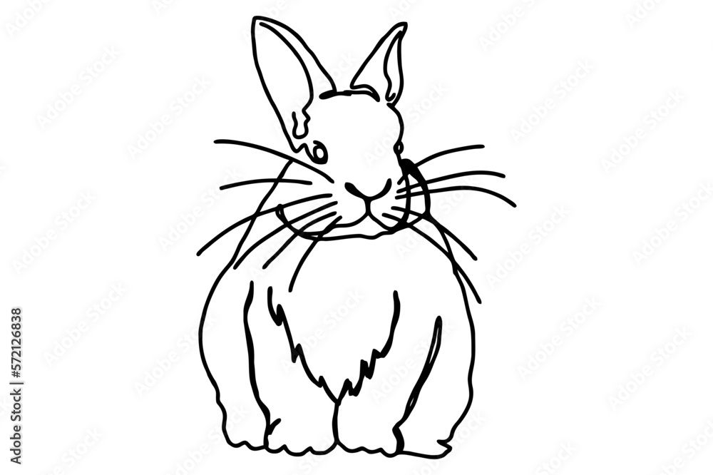 Fototapeta premium Sitting Brown Rabbit