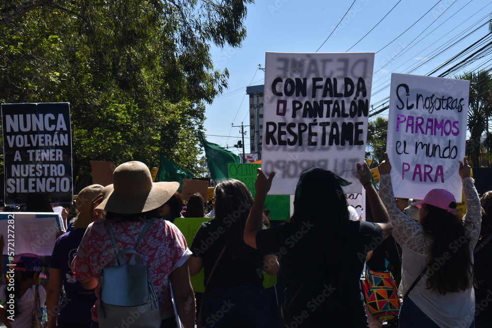 Fototapeta premium Manifestación