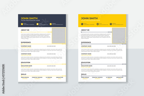 Professional CV resume template design