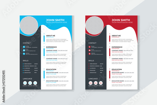 Professional CV resume template design