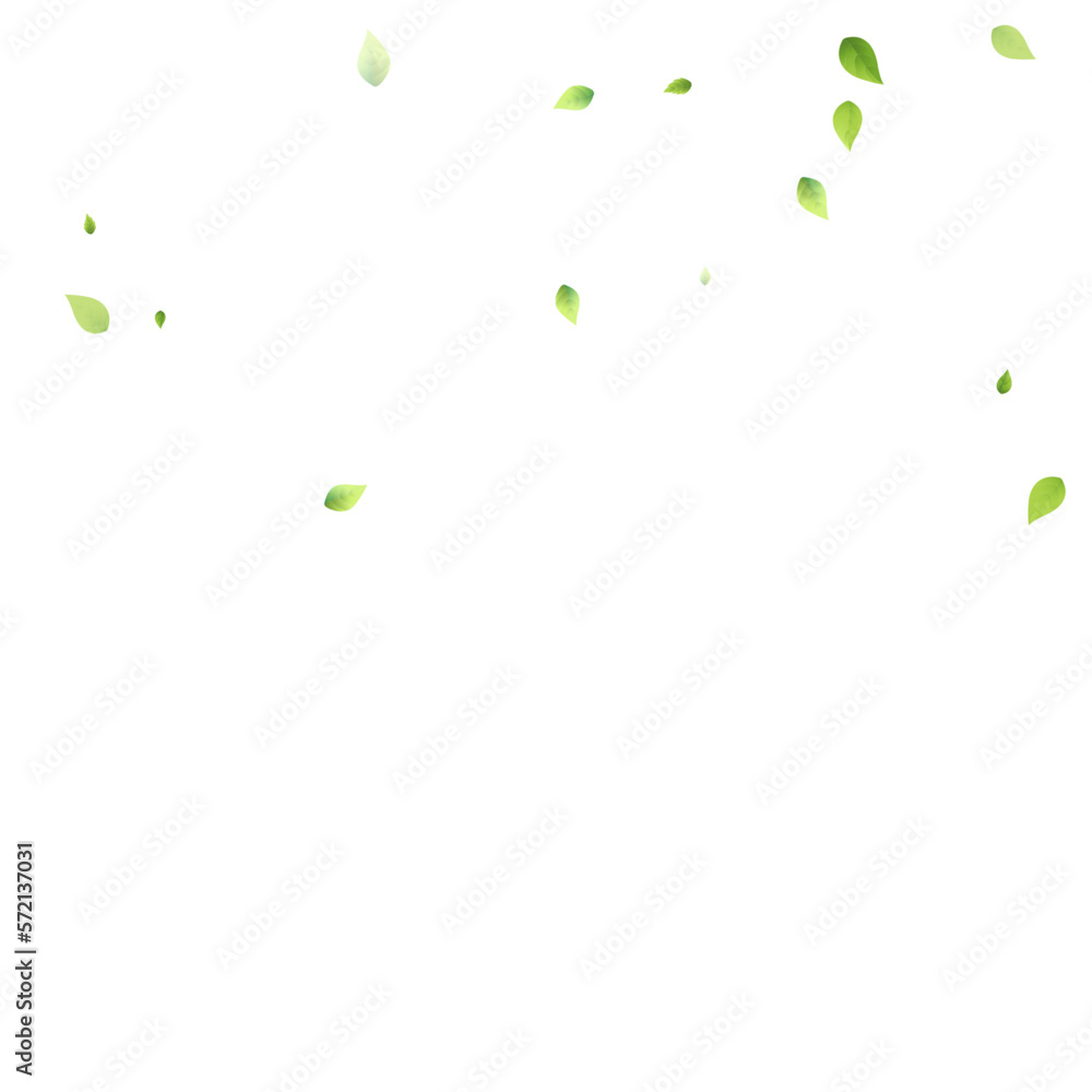 Leaves Green Falling Flying Foliage Leaf Tea Mint Leaves Green Falling Flying Foliage Leaf Tea Mint