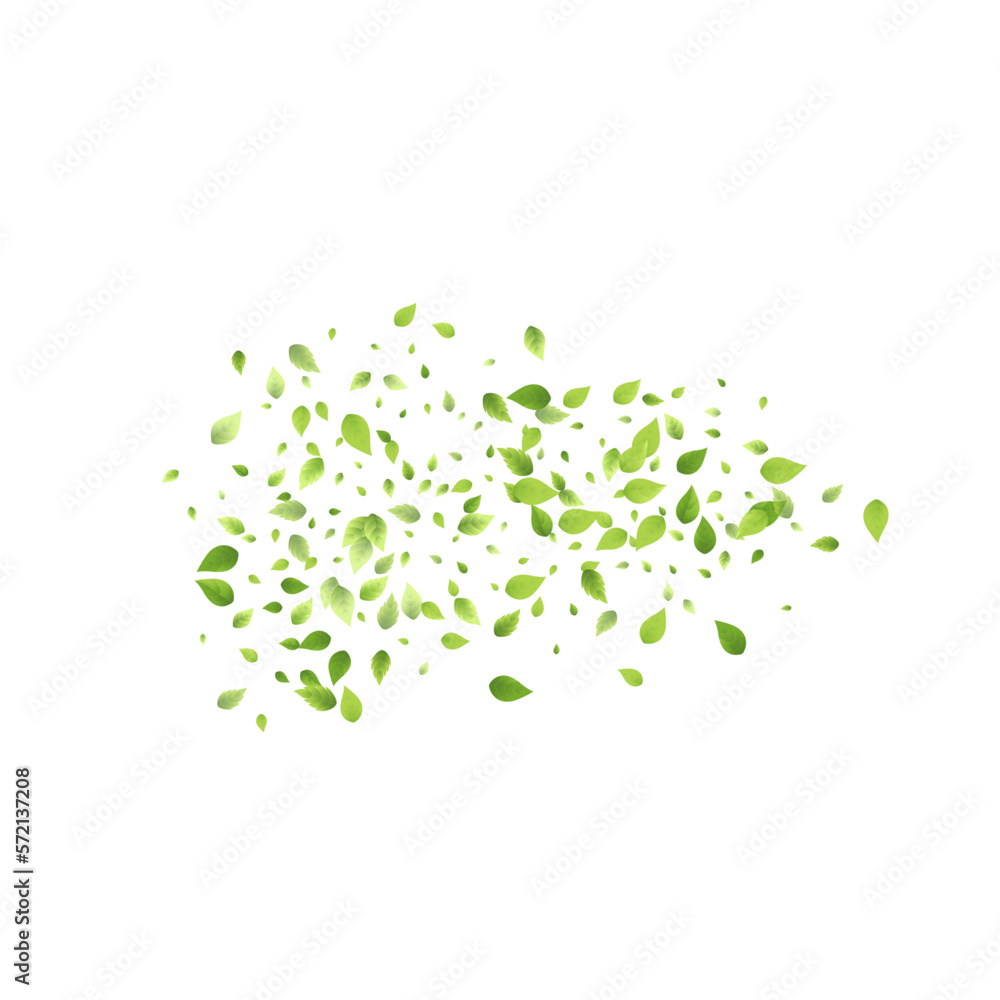 Leaves Green Falling Flying Foliage Leaf Tea Mint Leaves Green Falling Flying Foliage Leaf Tea Mint