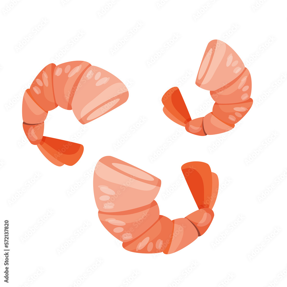 shrimp seafood isolated illustration shrimp seafood isolated illustration