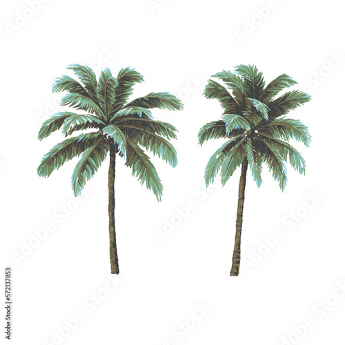 SET OF HAND DRAWN PAINTED PALM TREES ILLUSTRATION