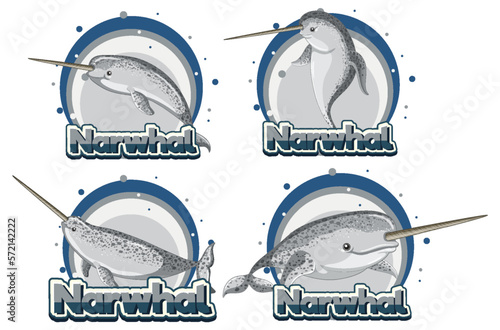 Narwhal in cartoon style