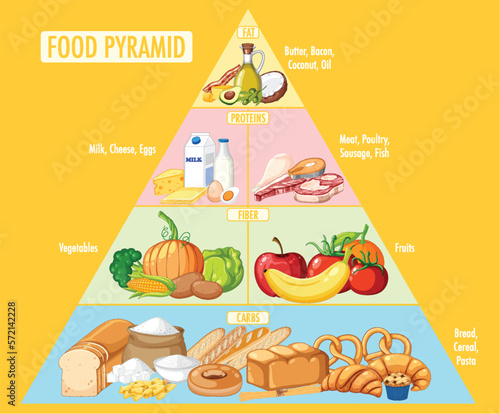 Food nutrition groups pyramid