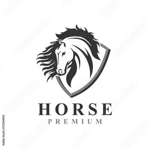Elegant Black Horse Logo Design Combined with Abstract 3d Shield Concept.