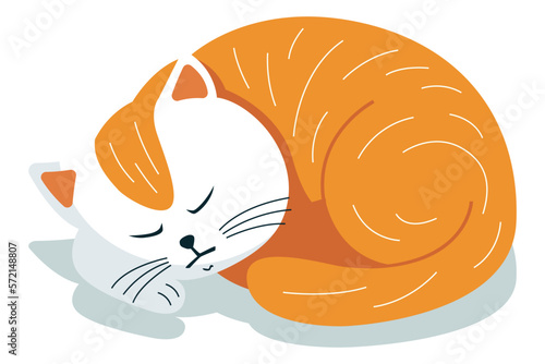 Fototapeta Naklejka Na Ścianę i Meble -  cute sleeping red cat. the cat will curl up. flat vector illustration.