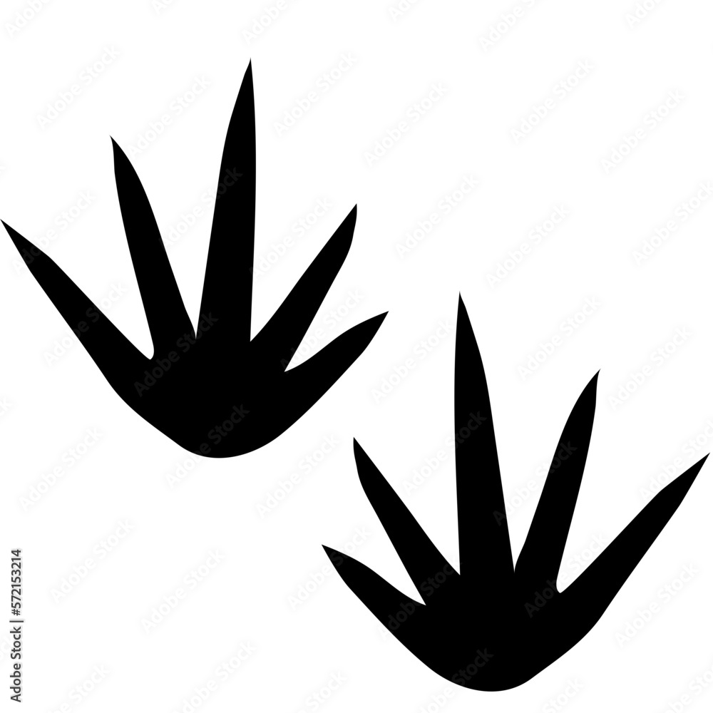Animal Foot Animal Foot