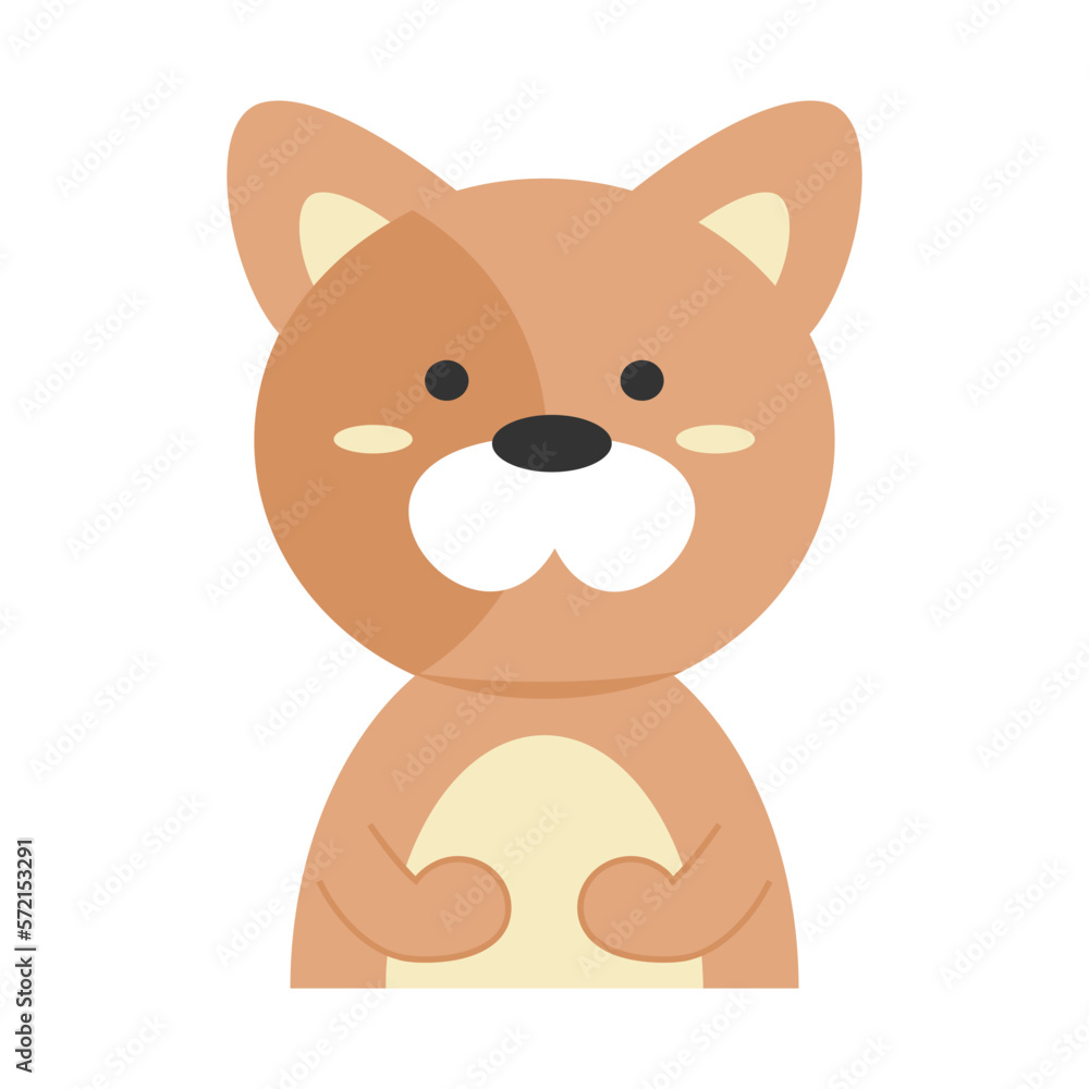 Dog Animal Expression Dog Animal Expression
