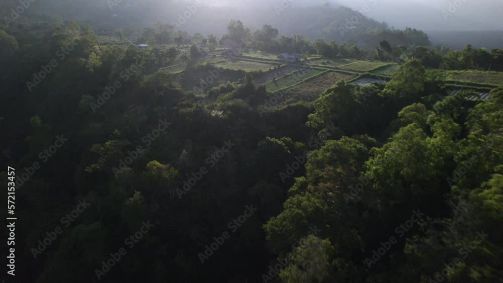 Aerial shot in Bali flying over peaceful green farmer fields surrounded by forests on a mountain Aerial shot in Bali flying over peaceful green farmer fields surrounded by forests on a mountain