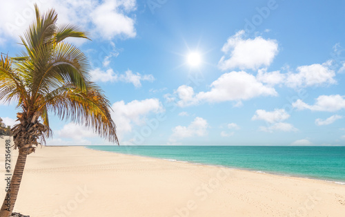Large tropical paradise beach with white sand, palm tree and turquoise water - Summer vacation concept - Travel background