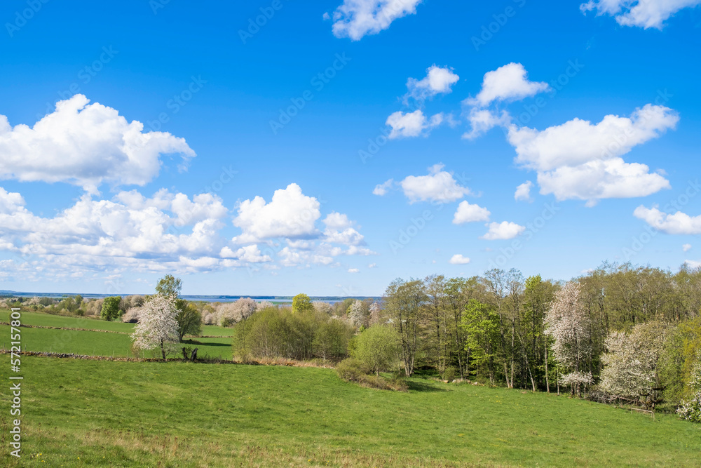 Landscape view with flowering fruit trees in the countryside