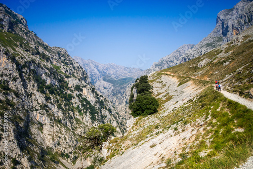 Cares trail - ruta del Cares - in Picos de Europa, Asturias, Spain © daboost